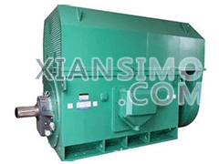 YKS5003-2YXKK(2极)高效高压电机技术参数