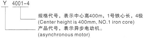 西安泰富西玛Y系列(H355-1000)高压YKS5003-2三相异步电机型号说明